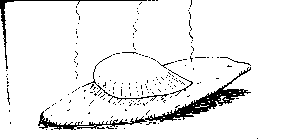 SITUPS.BMP (5066 bytes)