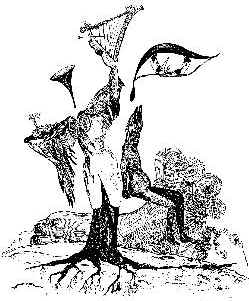 Harp1.jpg (25568 bytes)