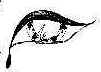 Harp1.jpg (17909 bytes)
